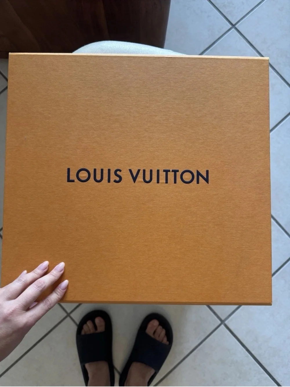 Louis Vuitton authentic louis